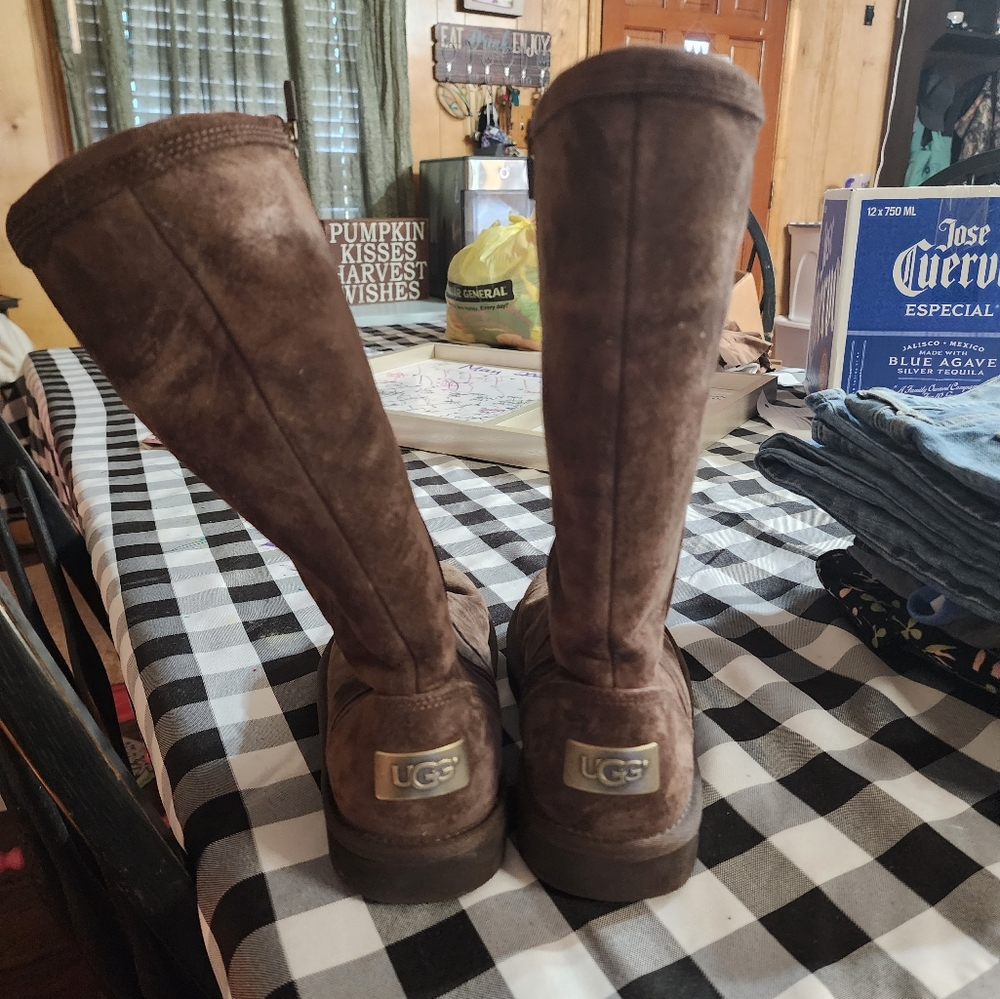 Ugg bailey boots